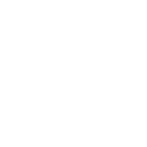 Fuel Filters