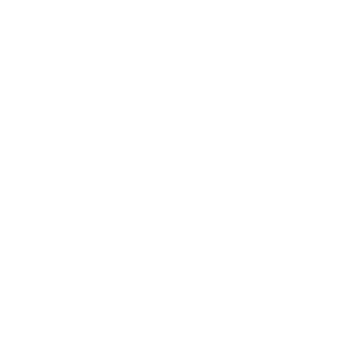Fuel Filters